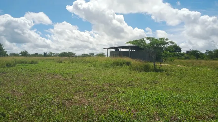 Vendo terreno na BA 504 km 4 em Tiquarucu