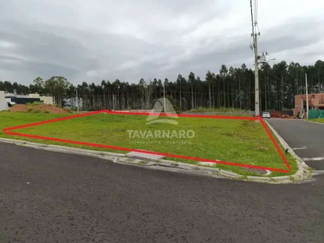 Terreno Condomínio - Colônia Dona Luiza Residencial para Venda em Ponta Grossa