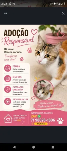 Gata