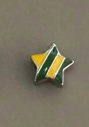 Berloque Life Vivara Estrela Brasil