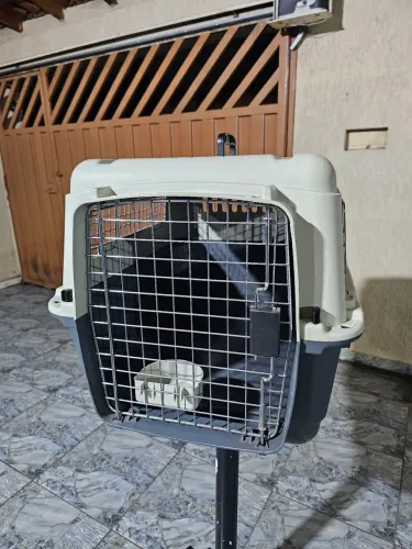 CAIXA DE TRANSPO PARA CACHORROS E GATOS - NOVO