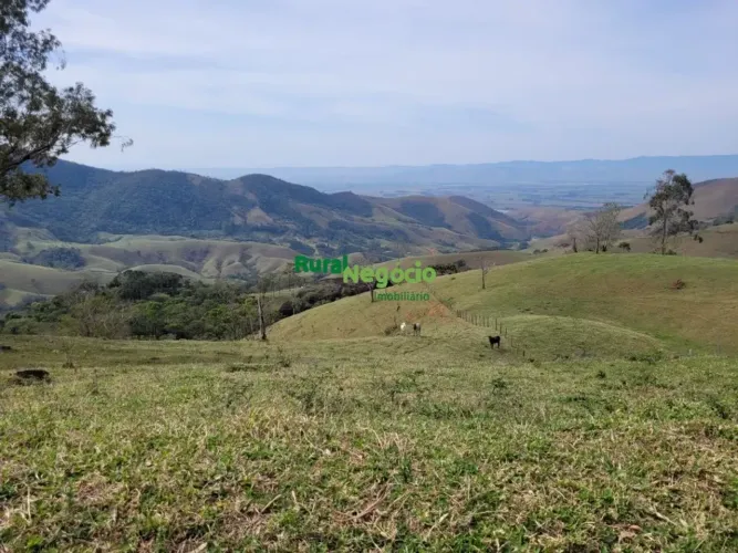 FAZENDA FORMADA EM BRAQUIÁRIA Á VENDA EM PINDAMONHANGABA-SP