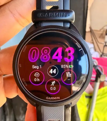garmin 165 music