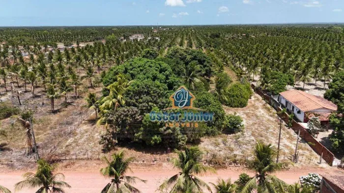 Terreno à venda, 10,000 m² por R$ 170.000 - Lagoinha - Paraipaba/CE