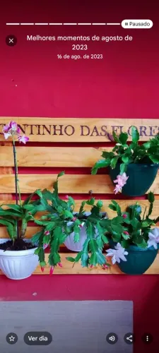 Floreiras personalizadas