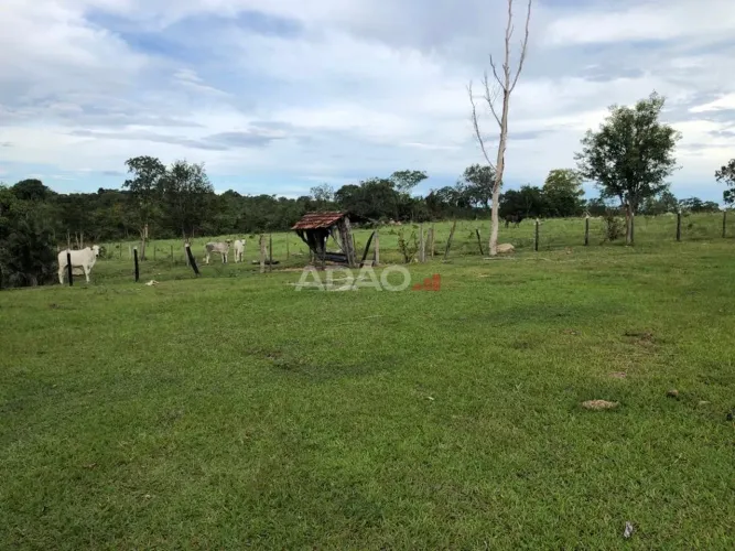 Fazenda município de Crixás