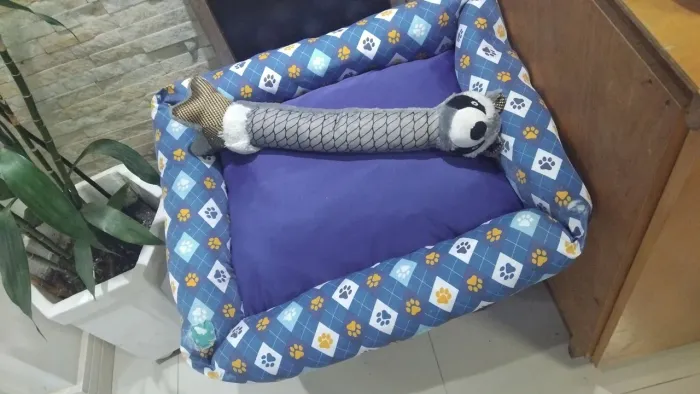 Kit / Combo (Caminha + Brinquedo)
