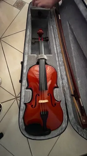 Violino