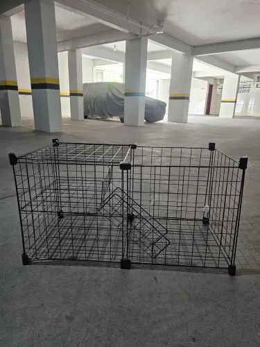 Casa de porquinho da india