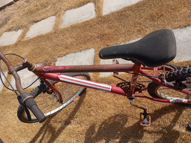Bicicleta com rodinhas para adulto 