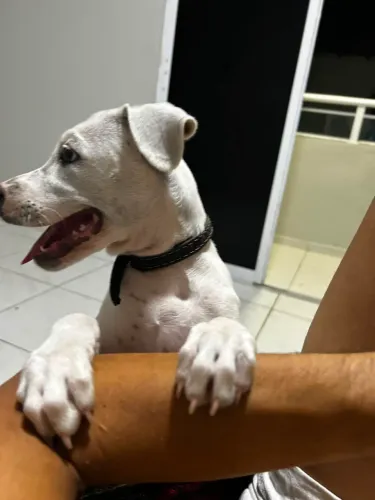 Doação