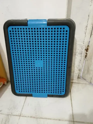Tapete cachorro pequeno azul