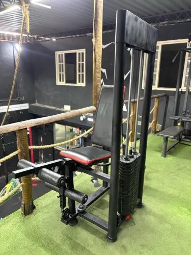 Cadeira Extensora e Mesa Flexora Profissional 100kg