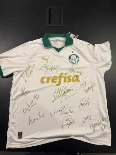 Camisa palmeiras 2024 assinada