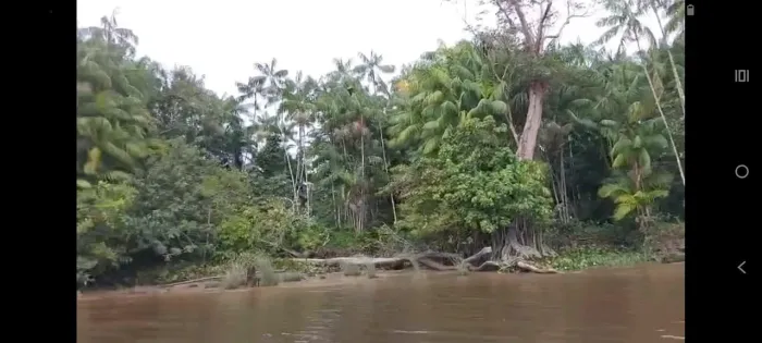 TERRENO À BEIRA-RIO COM AÇAIZAL - RIO ACARÁ, BARCARENA/PA