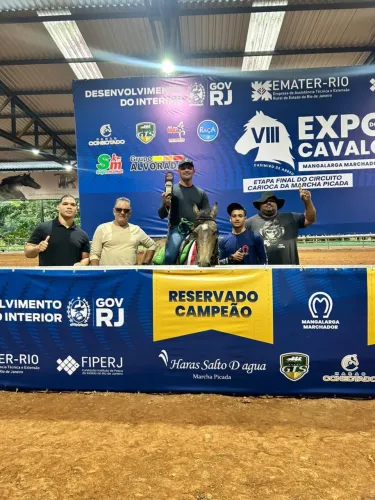 Mangalarga marchador castrado