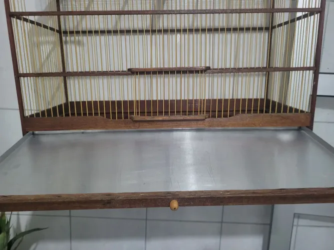 Gaiola criadeira - voador 60cm