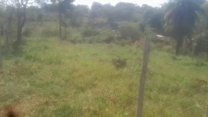 Lotes com escritura e registro 
