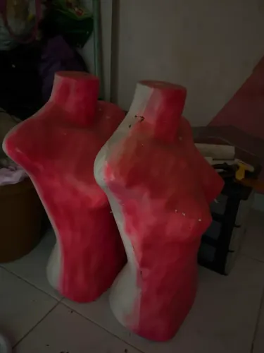 MANEQUIM (BUSTO) preço dos dois juntos