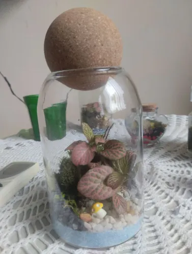 Terrário vivo