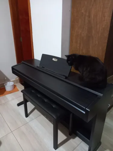 Piano Digital  Pearl River V03 3 meses de uso