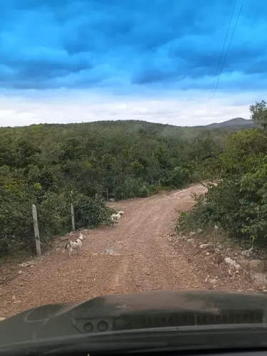 Fazenda Cavalcante Teresina Goiás Turismo