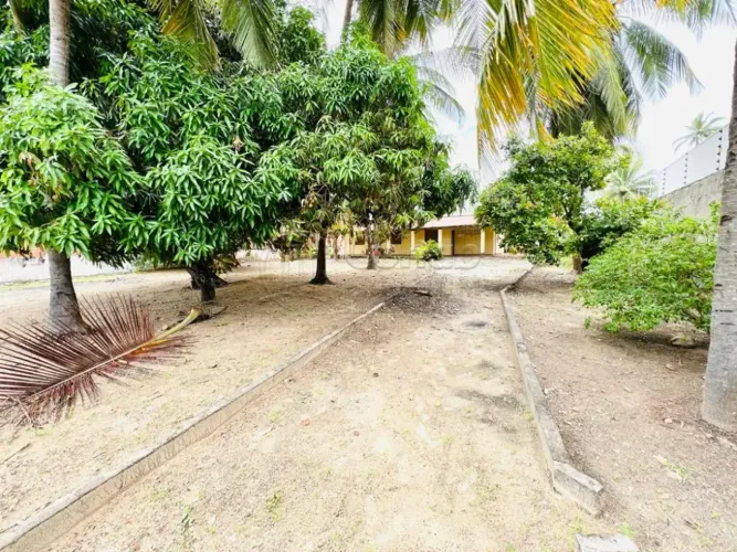 EXCELENTE LOTE A VENDA A 200 METROS DA PRAIA, NA RUA PROFESSOR CARLOS AUGUSTO SANTOS, N° 4