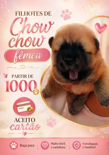 Cachorro 
