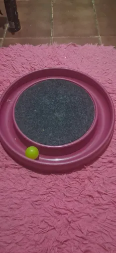 Brinquedos gatos