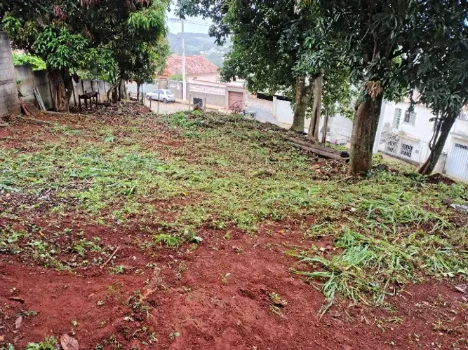 VENDE-SE EXCELENTE LOTE.