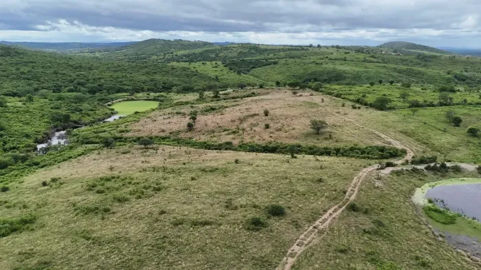 Imóvel para venda tem 150000 metros quadrados com 1 quarto em Area Rural de Bezerros - Bez