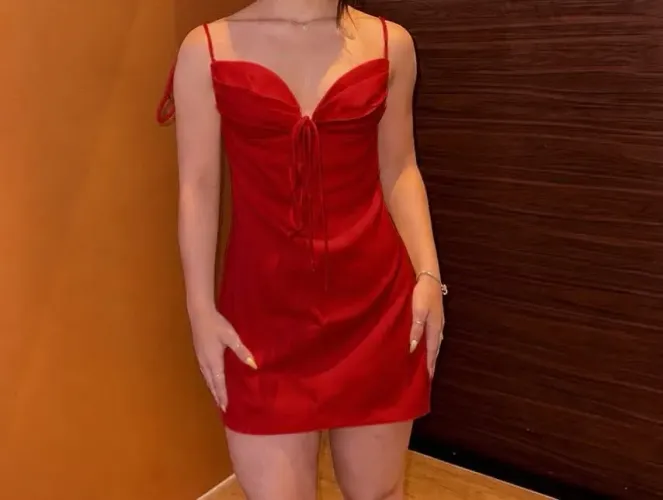Vestido novo