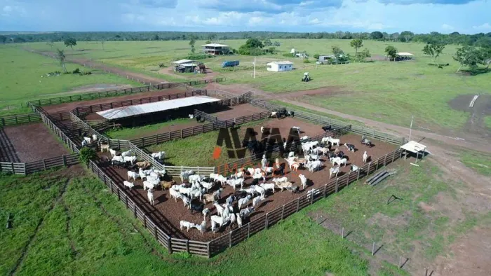 Fazenda à venda, m² por R$ 130.000.000,00 - Zona Rural - Paranatinga/MT