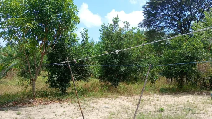 Vendo terreno em maruda