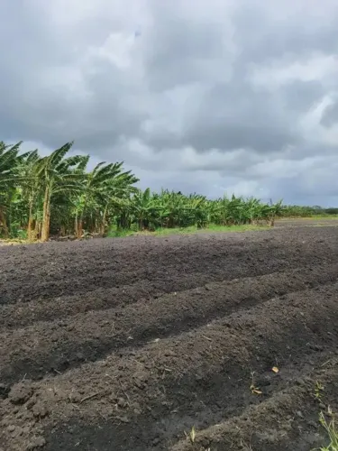 Excelente fazenda com 253.4 hectares próximo a punau na região de rio do fogo