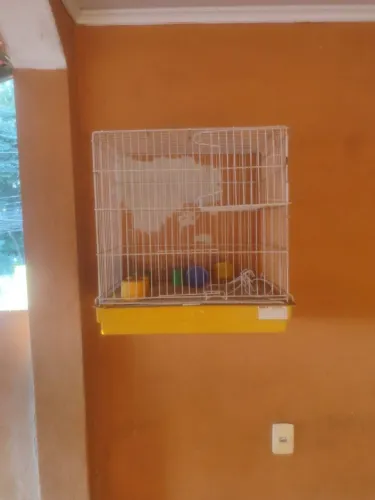 Gaiola para aves pequenas com bebedouros - usada em bom estado