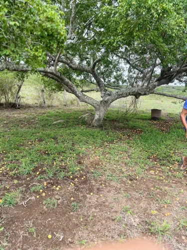Terreno irará Ba 
