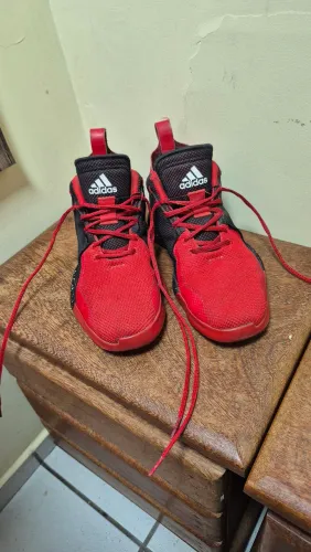 Tenis / basqueteira Rose 773