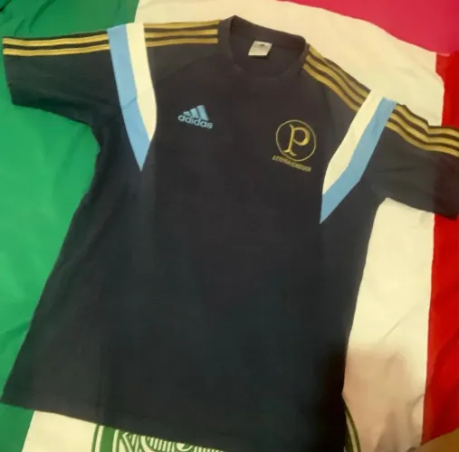 Camisas da eterna academia Palmeiras Originais