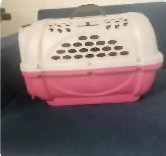 Caixa de transporte Pets