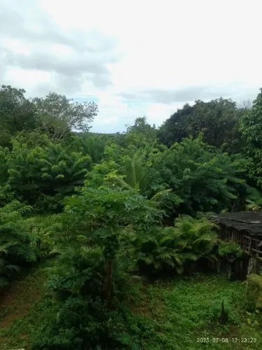Mine Sítio na Região de Abrantes/Sucupira 