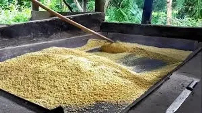 Saca de Farinha 425,00  