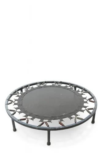 Cama elástica mini Jump