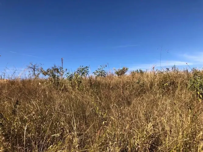 Sítio à venda, 0 m² por R$ 200.000 - Zona Rural - Perdizes/MG