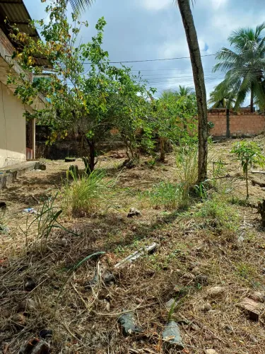 Vende-se terreno em Paripe / Tubarão 