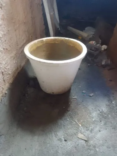 Vaso para planta 