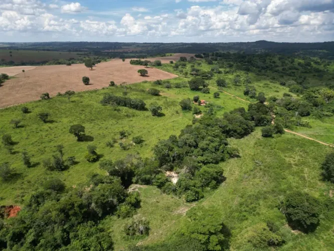 Fazenda 48 Alqueires - Cromínia-Go