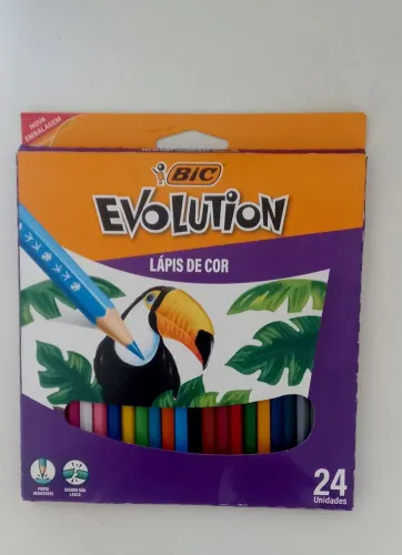 Lápis de cor / Material escolar