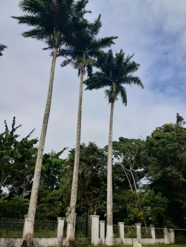 Propriedade às margens da BR 408 - à 30 Km do Recife