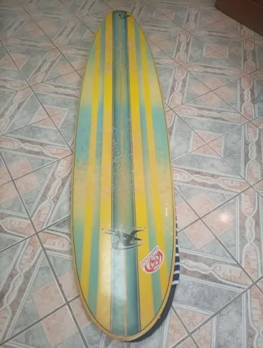 Prancha Surf Fun